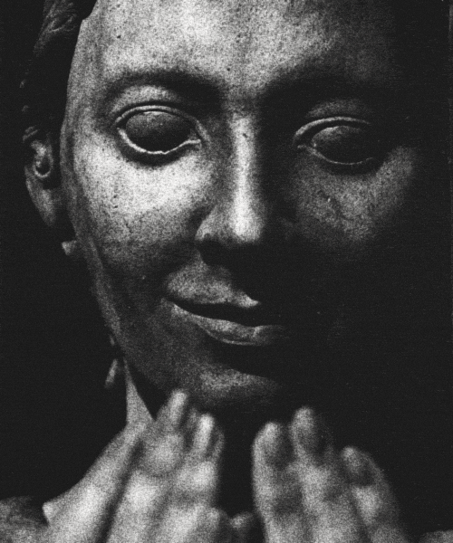 David Andrei Barbu